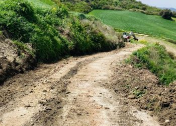 El Ayuntamiento de Ronda mejorará 10 caminos públicos afectados por los temporales con 300.000 euros 