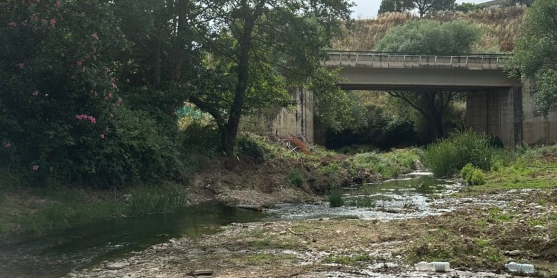 Con Ronda denuncia la destrucción de hábitats protegidos en el río Guadalevín y exige responsabilidades políticas