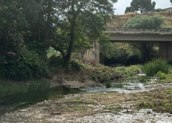 Con Ronda denuncia la destrucción de hábitats protegidos en el río Guadalevín y exige responsabilidades políticas