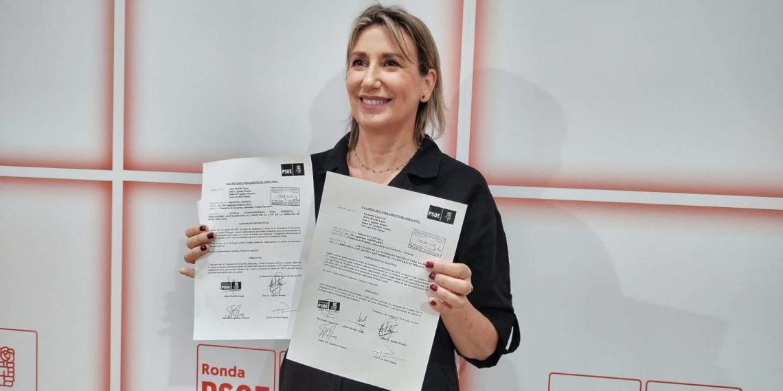 El PSOE presentará dos preguntas parlamentarias sobre las inversiones anunciadas en 2023 para mejorar la carretera Ronda-San Pedro