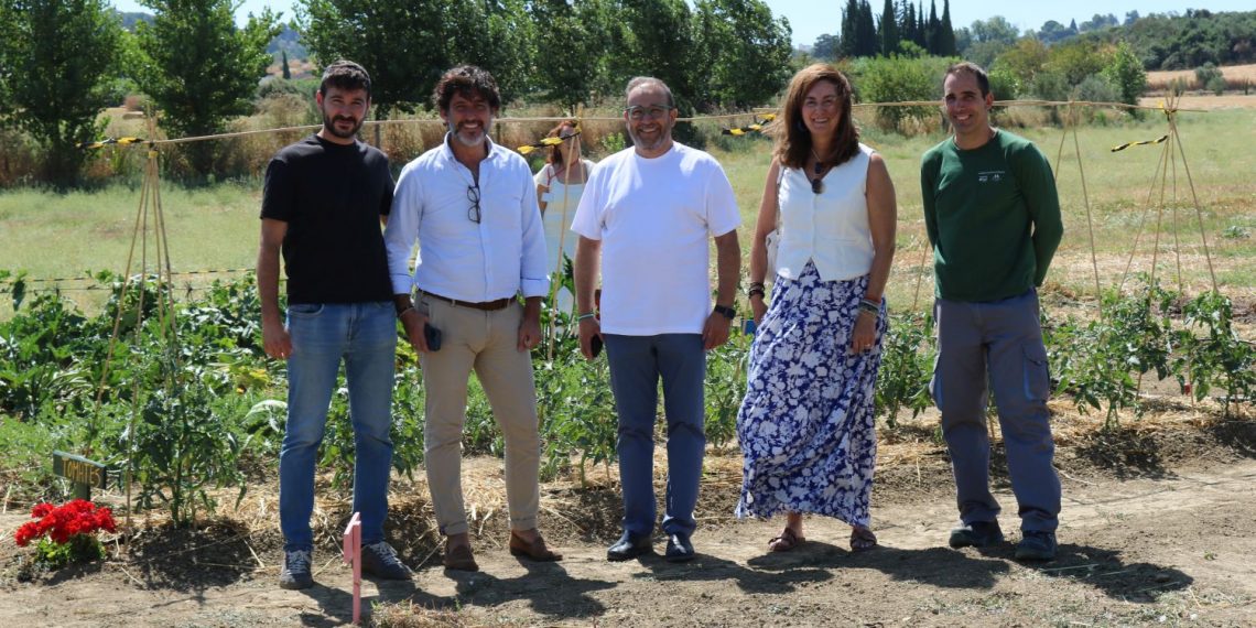 La Diputación impulsa el huerto ecológico de Asprodisis que integra a personas con discapacidad intelectual de la Serranía de Ronda