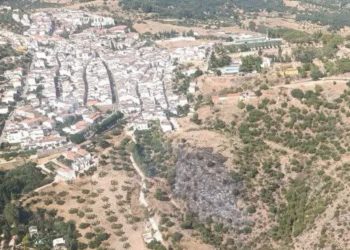 Un conato de incendio en las inmediaciones de Cortes de la Frontera alarma a los vecinos