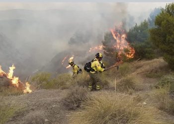 Con Ronda pide más medios humanos y materiales para el plan INFOCA