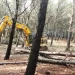 La Diputación fomenta la limpieza de los montes para evitar incendios y extiende el aprovechamiento de la biomasa forestal con una inversión de casi 16 millones de euros