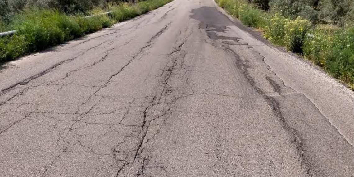 La Diputación licita por 3,7 millones de euros el arreglo de la carretera de acceso al Valle del Guadiaro desde Ronda