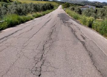 La Diputación licita por 3,7 millones de euros el arreglo de la carretera de acceso al Valle del Guadiaro desde Ronda