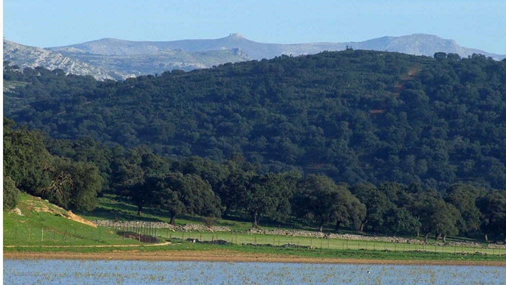 La laguna de La Alberca, incluida en en el Inventario Español de Zonas Húmedas