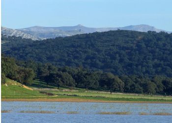 La laguna de La Alberca, incluida en en el Inventario Español de Zonas Húmedas