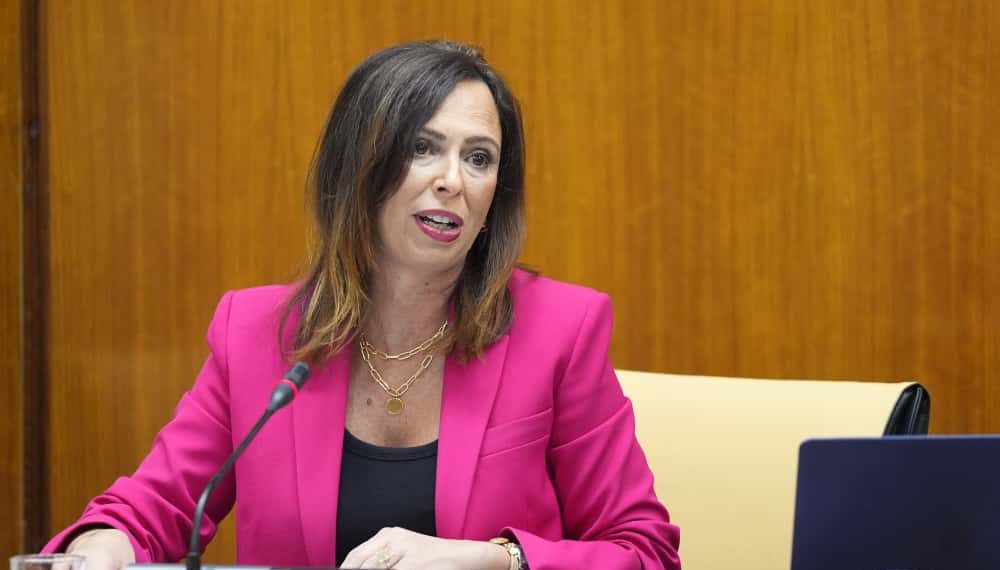 La Junta analiza 22 ofertas para el desdoble del eje Málaga-Campillos-Ronda entre Casapalma y Cerralba