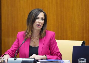 La Junta analiza 22 ofertas para el desdoble del eje Málaga-Campillos-Ronda entre Casapalma y Cerralba