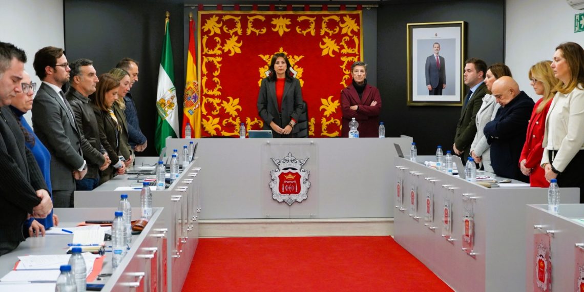 El pleno da luz verde a la nueva regulación de aparcamientos en el centro y a la creación de una oficina antiokupación