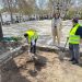 El Ayuntamiento de Ronda adjudica las obras de remodelación integral de la plaza Ruedo Alameda por 1,2 millones 