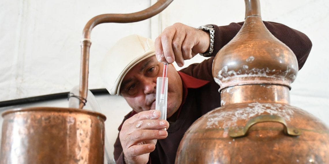 Jubrique mantiene viva la tradición del aguardiente con la celebración de su XI concurso el próximo 27 de diciembre