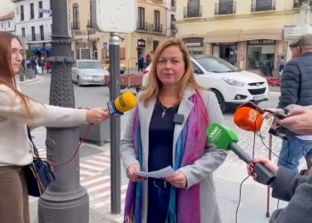 VOX Ronda propone rebajar el ICIO al 3% e incorporar bonificaciones para familias y empresas