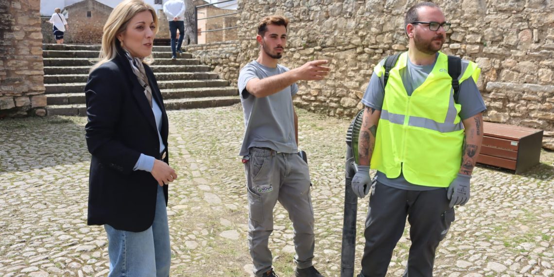 Soliarsa adelanta la campaña de desbroce en las calles ante la presencia de hierba a consecuencia de las intensas lluvias de estos últimos meses