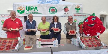 UPA Andalucía lleva las fresas de Huelva aRonda, cuna del andalucismo, como símbolo de identidad, unión y orgullo del territorio andaluz
