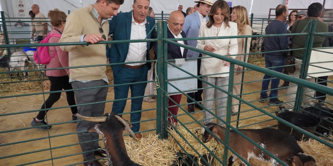 Ronda celebra su Real Feria de Mayo, ‘AgroRonda’, hasta el domingo