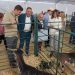 Ronda celebra su Real Feria de Mayo, ‘AgroRonda’, hasta el domingo