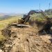 Inician obras de mejora en la vía pecuaria Ronda-Olvera