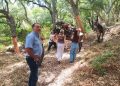 El Ayuntamiento de Ronda inicia la saca del corcho en sus montes