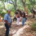 El Ayuntamiento de Ronda inicia la saca del corcho en sus montes