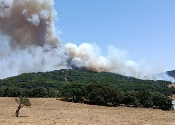 La Junta eleva el Plan Infoca a fase de emergencia, situación operativa 1, por un incendio en Grazalema