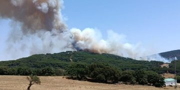 La Junta eleva el Plan Infoca a fase de emergencia, situación operativa 1, por un incendio en Grazalema