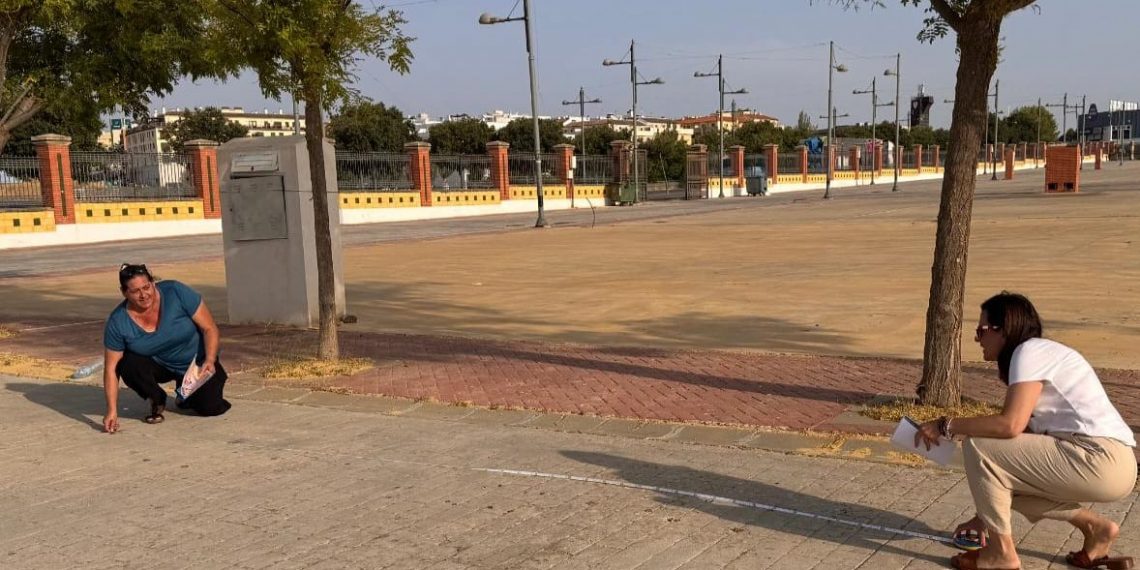 El Real de la Feria de Ronda contará con una docena de casetas de las peñas