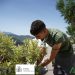 GENALGUACIL REALIZA CONTRATACIONES CON EL PROGRAMA ACTIVA-T JOVEN