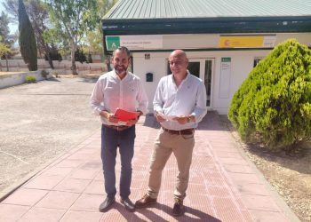 El PSOE destaca que las políticas del Gobierno de España impulsan la bajada del paro en Ronda y la Serranía