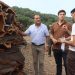 El Ayuntamiento de Ronda pone a la venta el corcho de sus Montes de Propio por más de 800.000 euros