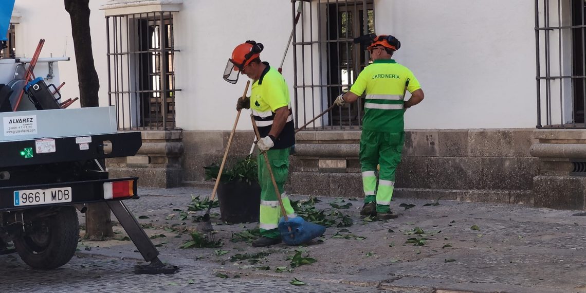 Julio deja una bajada del paro de 63 personas en Ronda