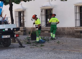 Julio deja una bajada del paro de 63 personas en Ronda