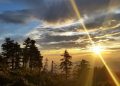 Sierra de las Nieves convoca su XVII Concurso Fotográfico para poner en valor su biodiversidad y su identidad rural