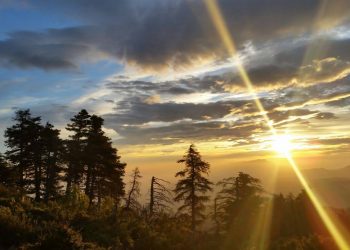 Sierra de las Nieves convoca su XVII Concurso Fotográfico para poner en valor su biodiversidad y su identidad rural