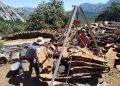 El Ayuntamiento de Ronda adjudica los tres lotes de corcho de sus Montes de Propio por más de 600.000 euros