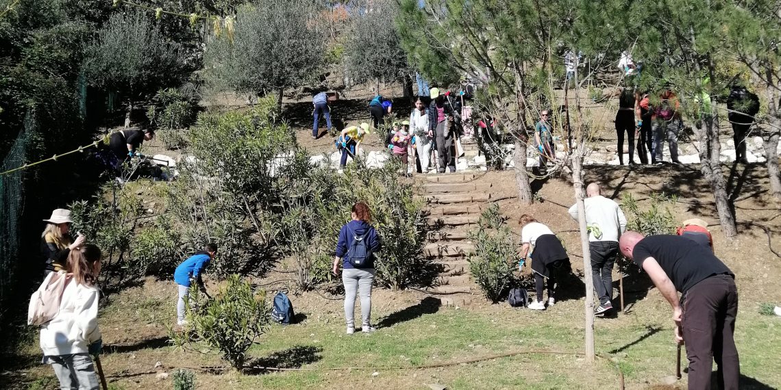 Hoy se abre el plazo para participar en las arboladas de la Diputación, que se celebrarán en la Axarquía y la Serranía de Ronda
