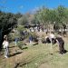 Hoy se abre el plazo para participar en las arboladas de la Diputación, que se celebrarán en la Axarquía y la Serranía de Ronda